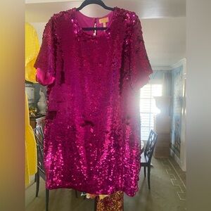 Pink sequin Anthropologie Dress